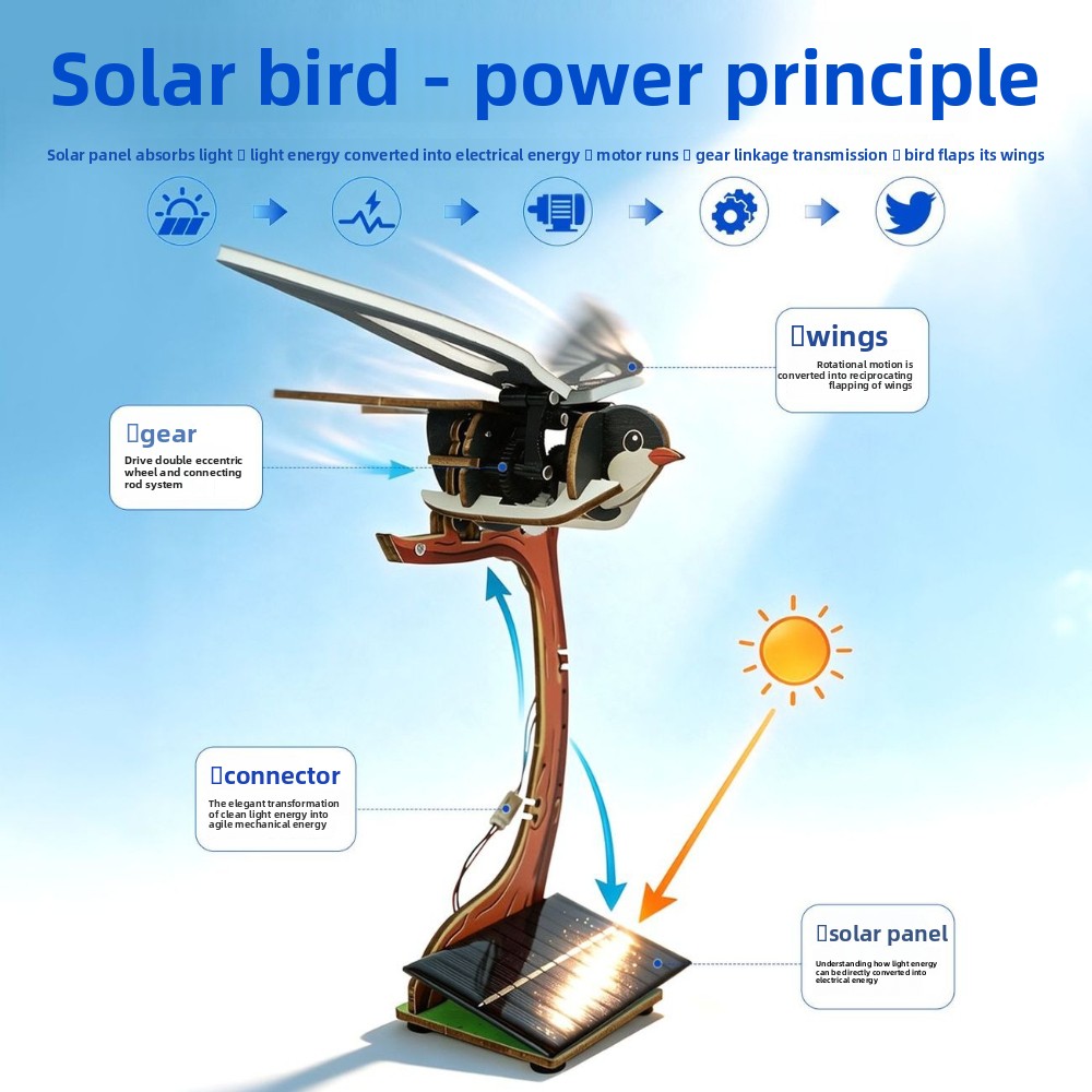 科学と教育 DIY 電動鳥科学実験クラフトキット 子供向け、 - Kids Education Allowance のレビューと価格