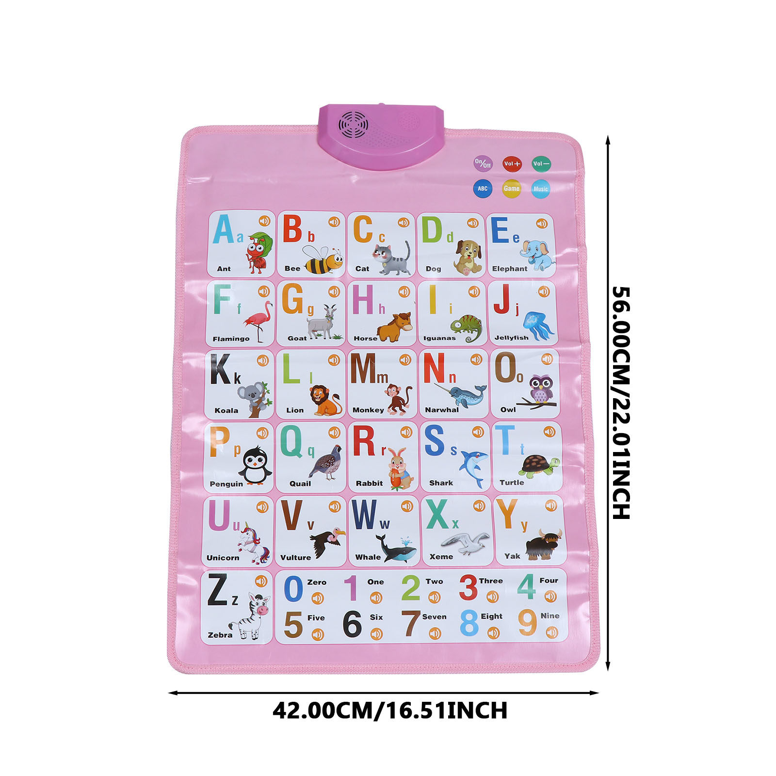 軽量で巻ける英語アルファベット音声ウォールマップ（幼児向け早 - Kids Education Charts のレビューと価格